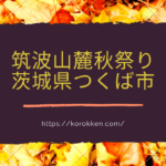 筑波山麓秋祭り